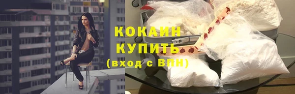 шишки Бронницы